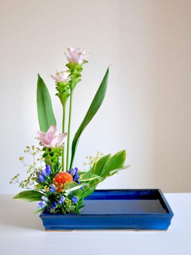 stellamyth202509-kado-tate-35