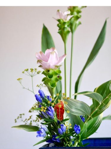 stellamyth202509-kado-tate-36