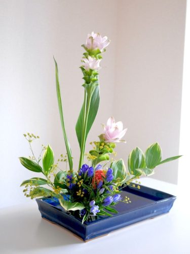 stellamyth202509-kado-tate-37