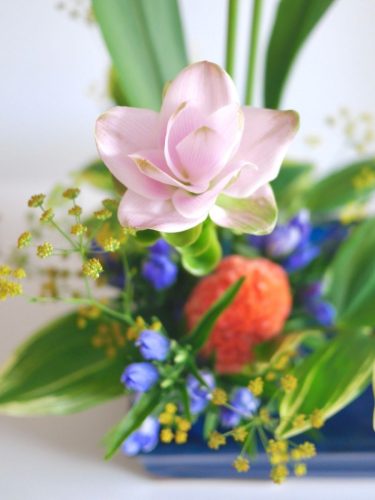 stellamyth202509-kado-tate-38