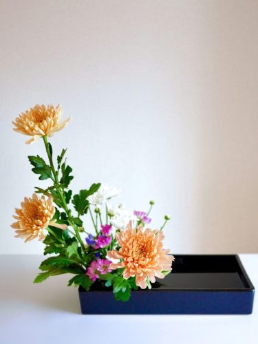 stellamyth202509-kado-tate-41