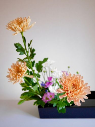 stellamyth202509-kado-tate-42