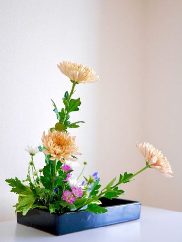 stellamyth202509-kado-tate-44