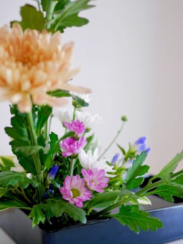 stellamyth202509-kado-tate-45