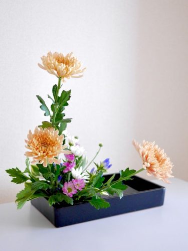 stellamyth202509-kado-tate-46