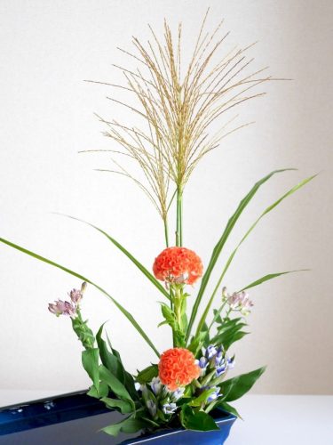 stellamyth202509-kado-tate-49