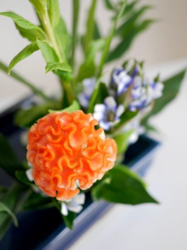 stellamyth202509-kado-tate-50