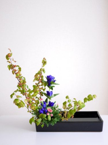 stellamyth20250927-kado-tate-1