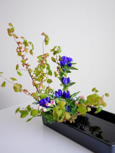 stellamyth20250927-kado-tate-11