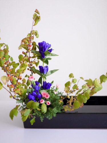 stellamyth20250927-kado-tate-3