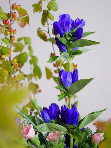 stellamyth20250927-kado-tate-5