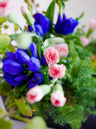 stellamyth20250927-kado-tate-6