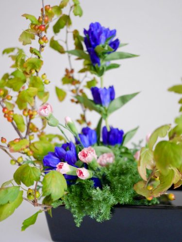 stellamyth20250927-kado-tate-7